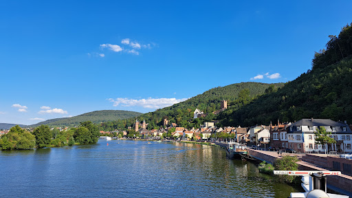 Mainufer Miltenberg - Thumbnail