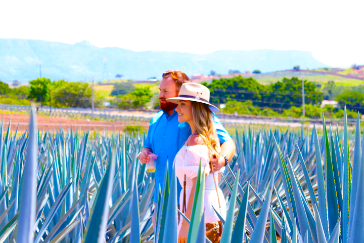 Tequila Express by null