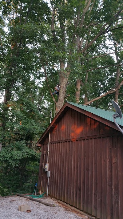 Hollow Log Cabins