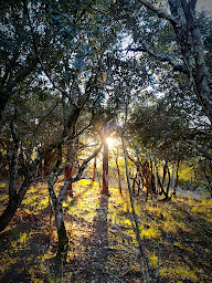 Photo n°22 de Les Chèvres de Rocbaron à Rocbaron (Ferme)