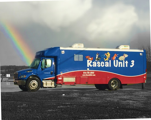 Rascal Unit - Visual