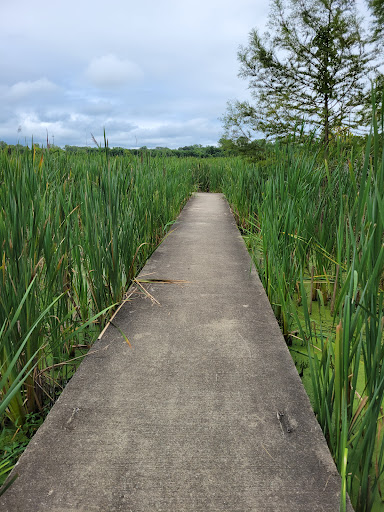 The Watershed Nature Center - Thumbnail