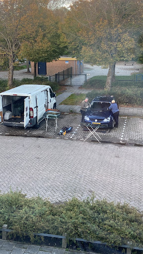 Pol-Ned - Visual