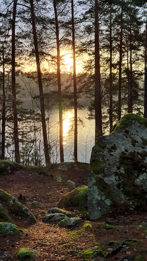 Elljusspåret Gallery - Sweden