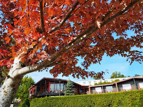 Lake House at High Peaks Resort by null
