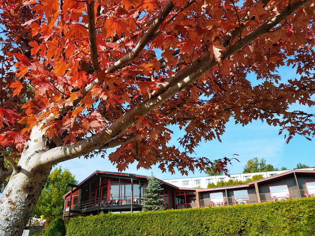 Lake House at High Peaks Resort by null