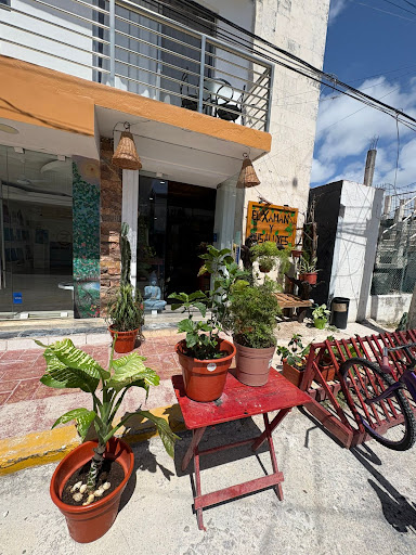 El Xaman y Sus Aluxes