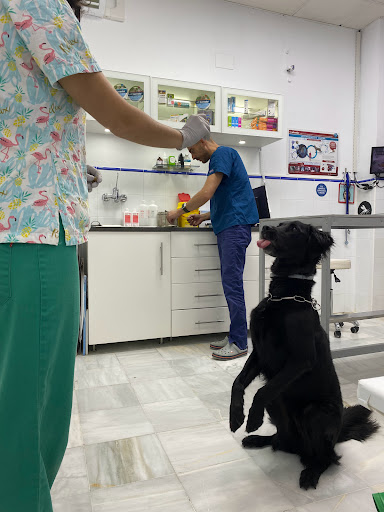 Centro Veterinario Salteras
