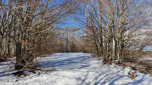 Monte Secchieta