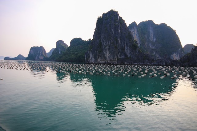 Bai Tu Long Bay