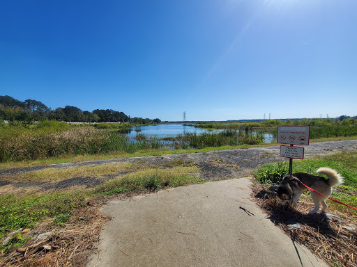 Conway Dog Park - Thumbnail