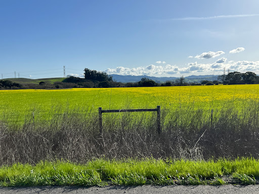 Petaluma Blvd & Corona Rd