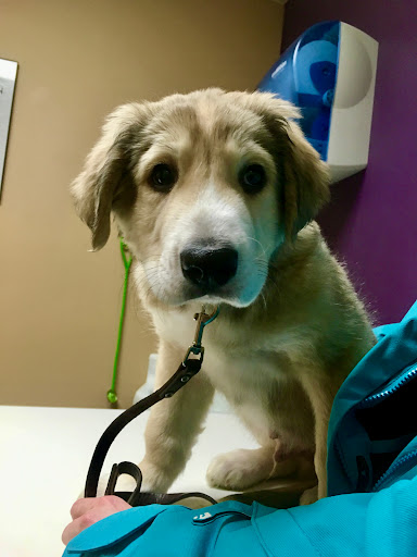 Cudahy Veterinary Clinic - Thumbnail