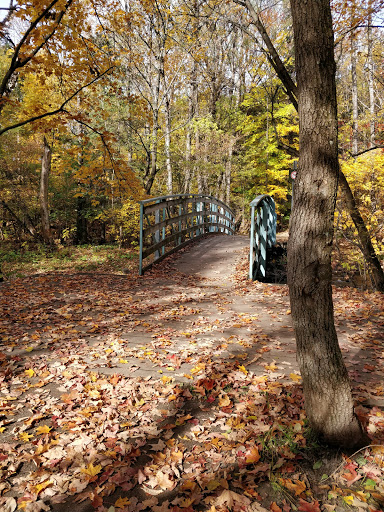Escarpement Park - Visual
