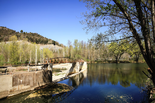 Borgonyà - Visual