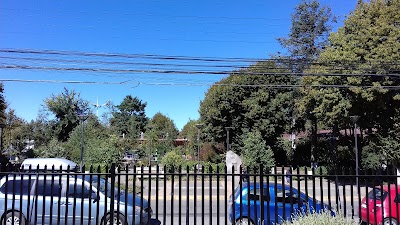 Photos of Col&uacute;n Paillaco