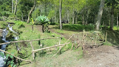Photos of Punceuling Camp