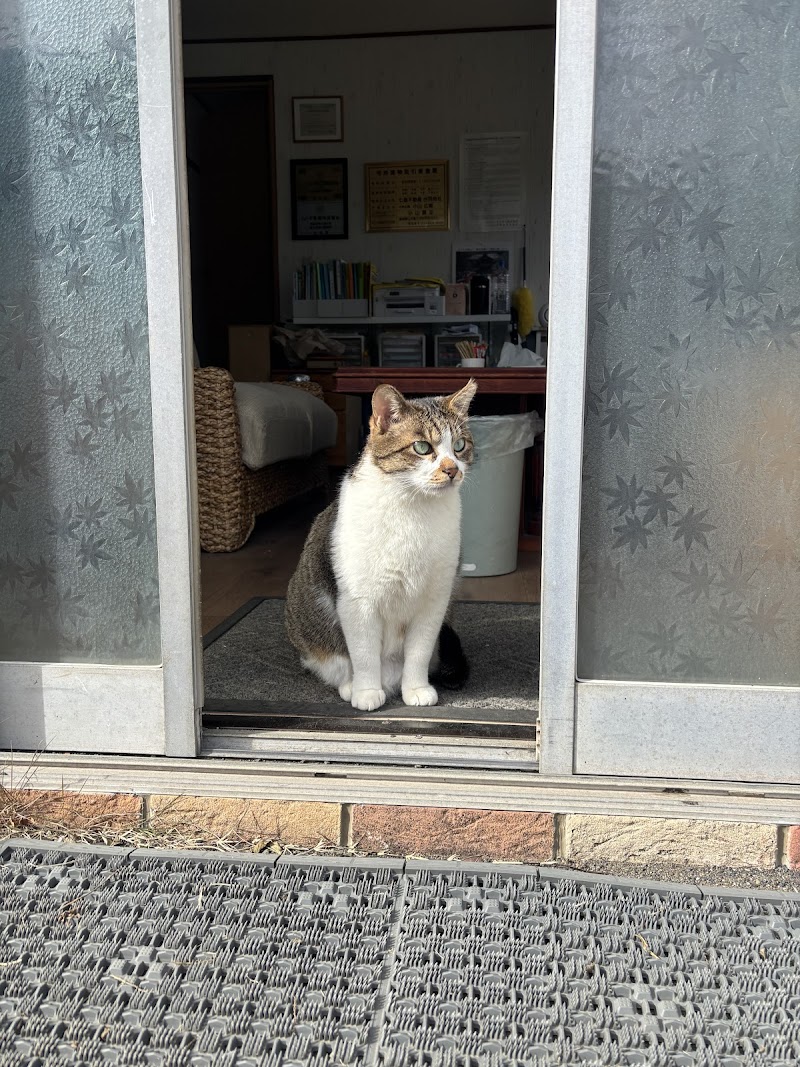 七島不動産合同会社