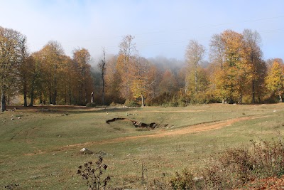 Molla yakup çayırı