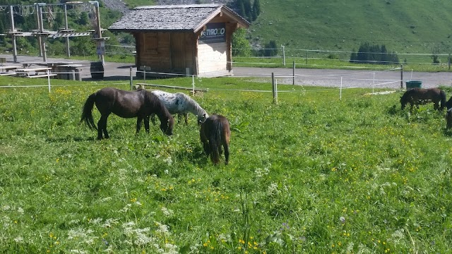 Espace Nordique des Confins