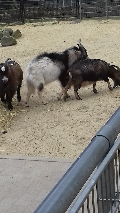 Photos of Halberstadt Zoo