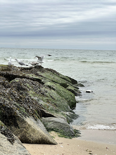 Cliff Metcalf Memorial Beach - Thumbnail