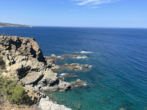 Photo de Réserve naturelle nationale de Cerbère-Banyuls à Cerbère (66290)