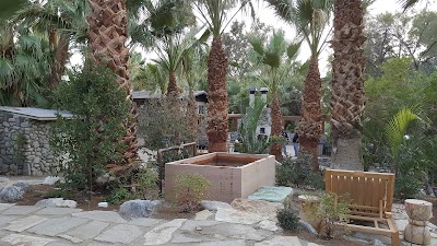 Photos of Two Bunch Palms