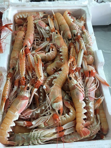 Pescheria San Francesco - Thumbnail