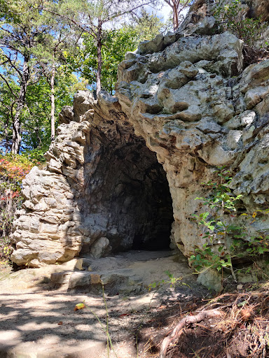 Tory's Den Cave Logo