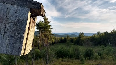 Goshen Blueberry Management Area