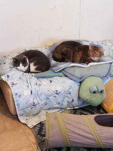 Loyalist Humane Society