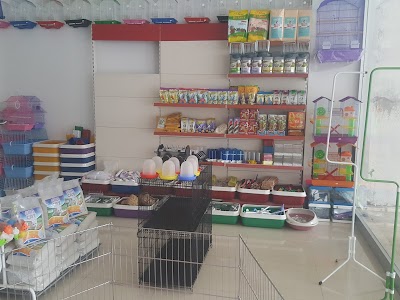 Mavi Dunyam Petshop