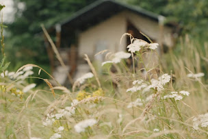 Photo n°32 de Le Ranch Camping et Glamping à Madranges (Camping avec cabanes)