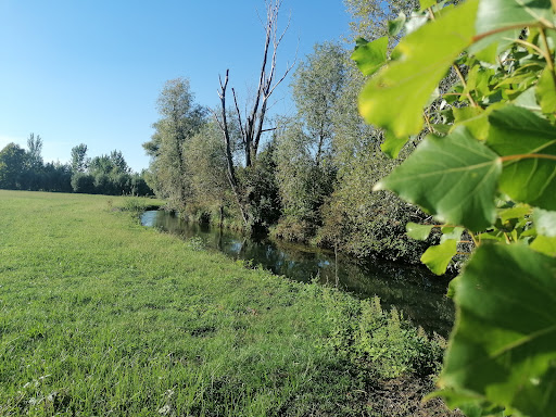 Livelli del Rino Gallery - Italy