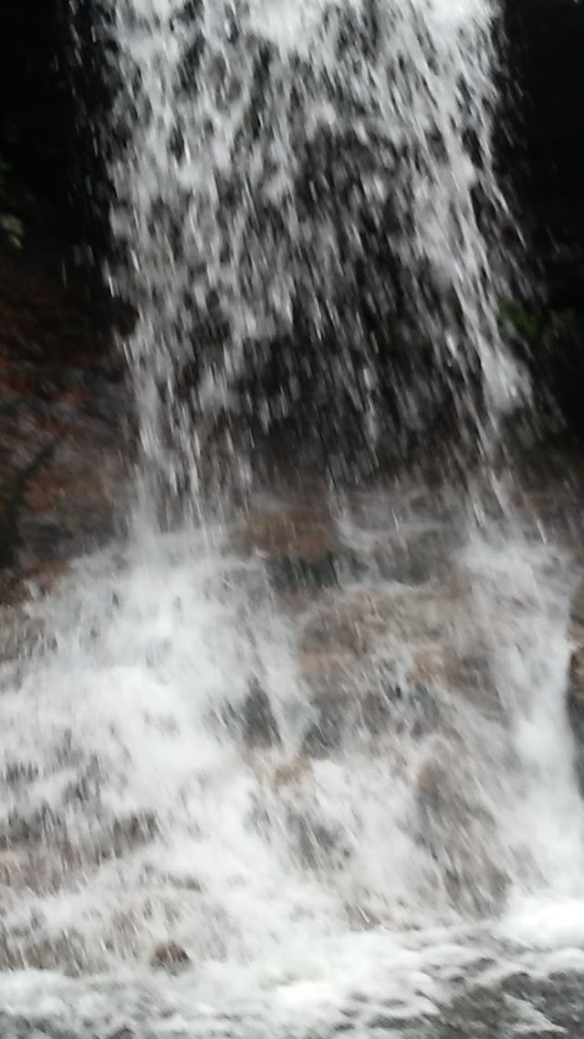 Thompson Falls