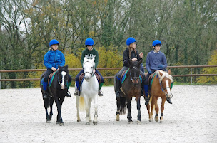 Photo n°19 de LA MAISON DU PONEY à Dompierre-sur-Mer (Centre équestre)