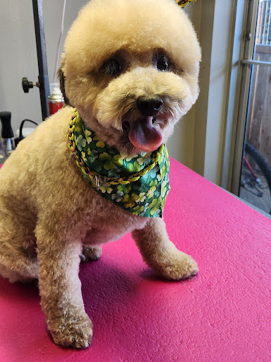 Stubby's Grooming Salon Monument Logo