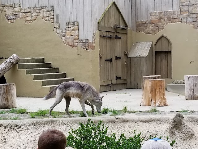 Busch Gardens Williamsburg