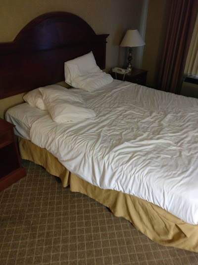 Photos of The Wave Hotel