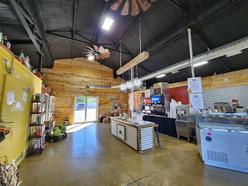 Riley's Taste of Sunshine Gallery - United States