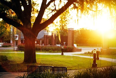 Photos of Florida State University Visitor Center