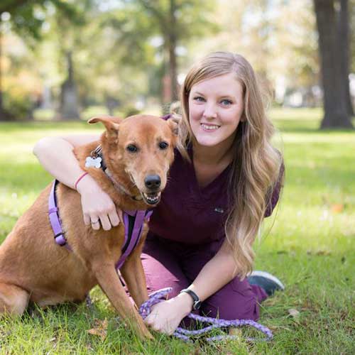 Albemarle Animal Hospital
