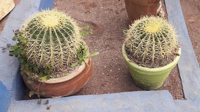 Photos of مسثنبت فكري