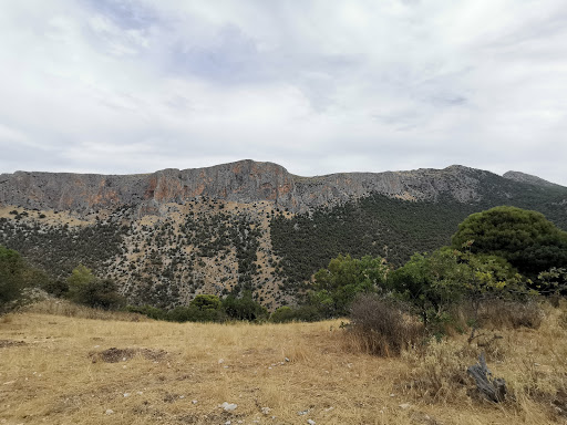 El Madroñal