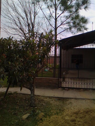 store