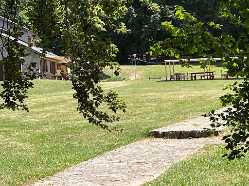 Orecchiella - Thumbnail