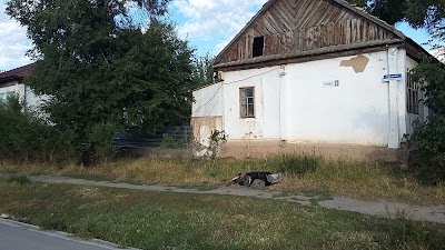Photos of Yak Tours