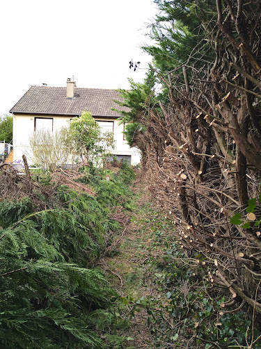 La Petite Belle Étoile, 72230 Guécélard