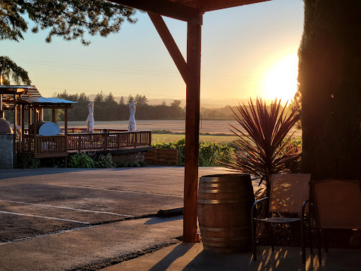 Ankeny Vineyard - Visual